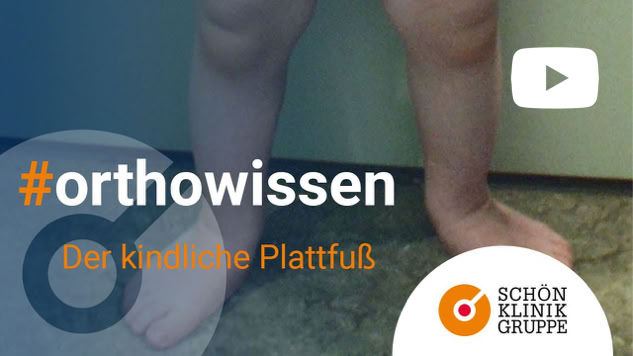 Video abspielen