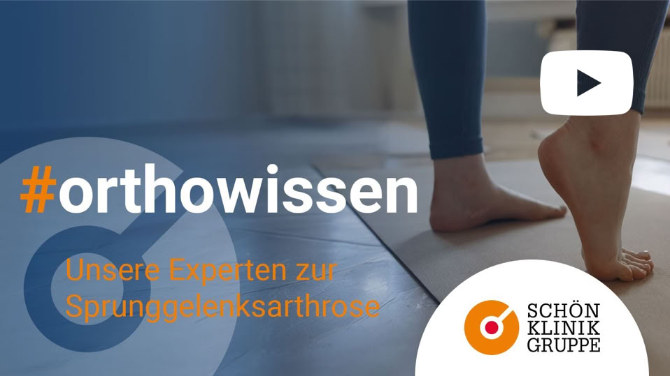 Video abspielen